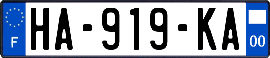 HA-919-KA