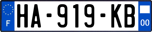 HA-919-KB