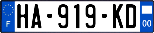 HA-919-KD