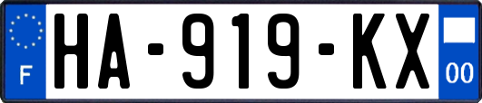 HA-919-KX