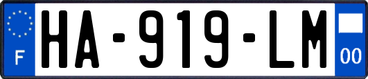 HA-919-LM