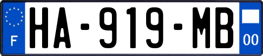 HA-919-MB