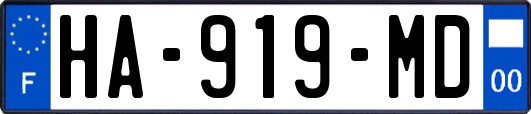 HA-919-MD
