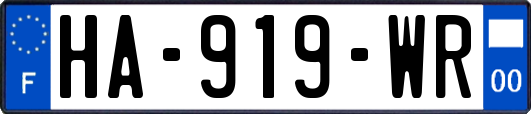 HA-919-WR