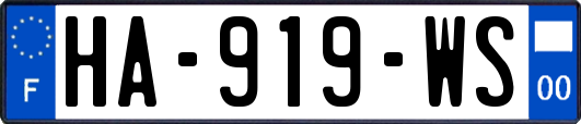 HA-919-WS