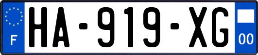 HA-919-XG
