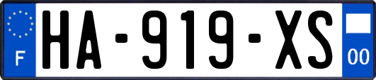 HA-919-XS