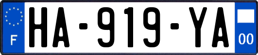 HA-919-YA