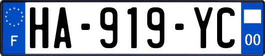 HA-919-YC