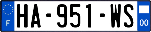 HA-951-WS