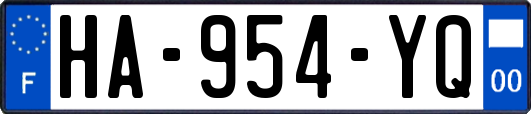 HA-954-YQ