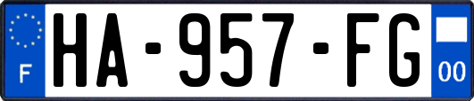 HA-957-FG
