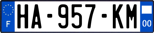 HA-957-KM