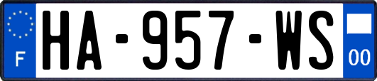 HA-957-WS