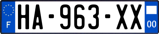 HA-963-XX