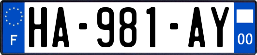 HA-981-AY