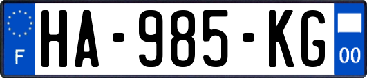 HA-985-KG