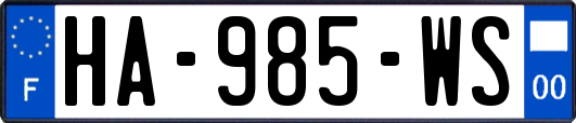 HA-985-WS