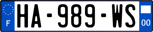 HA-989-WS