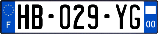HB-029-YG
