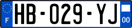 HB-029-YJ
