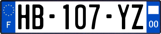 HB-107-YZ