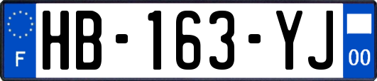 HB-163-YJ