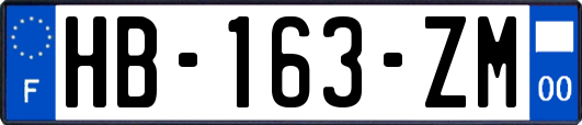 HB-163-ZM