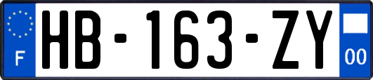 HB-163-ZY