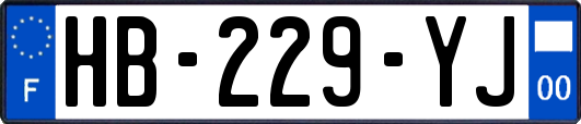 HB-229-YJ