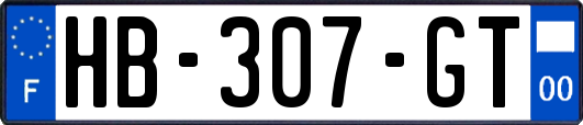 HB-307-GT