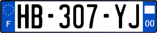 HB-307-YJ