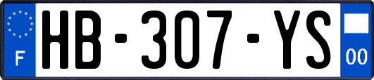 HB-307-YS