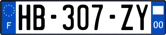 HB-307-ZY
