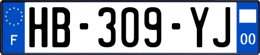 HB-309-YJ