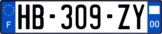 HB-309-ZY