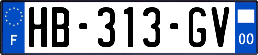 HB-313-GV
