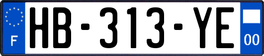 HB-313-YE