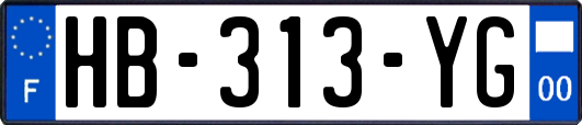 HB-313-YG