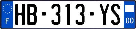 HB-313-YS