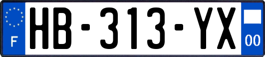 HB-313-YX