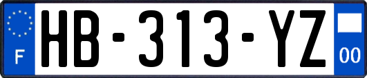 HB-313-YZ