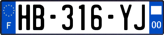 HB-316-YJ