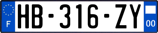 HB-316-ZY