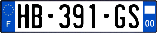HB-391-GS
