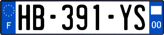 HB-391-YS