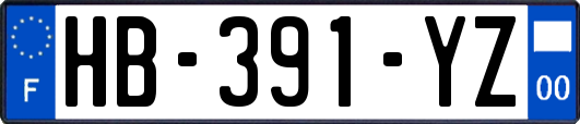 HB-391-YZ