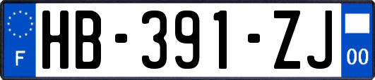 HB-391-ZJ