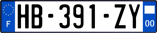 HB-391-ZY