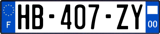 HB-407-ZY